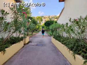 [P20] Parcul și aleile domeniului » foto by crismis
 - 
<span class="allrVoted glyphicon glyphicon-heart hidden" id="av1527745"></span>
<a class="m-l-10 hidden" id="sv1527745" onclick="voting_Foto_DelVot(,1527745,29320)" role="button">șterge vot <span class="glyphicon glyphicon-remove"></span></a>
<a id="v91527745" class=" c-red"  onclick="voting_Foto_SetVot(1527745)" role="button"><span class="glyphicon glyphicon-heart-empty"></span> <b>LIKE</b> = Votează poza</a> <img class="hidden"  id="f1527745W9" src="/imagini/loader.gif" border="0" /><span class="AjErrMes hidden" id="e1527745ErM"></span>