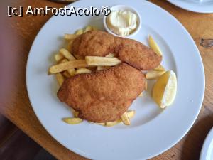 [P29] Prizren, Restaurant - Pizzeria Marashi, Schnitzel pule (Șnițel de pui) cu Cartofi prăjiți » foto by mprofeanu
 - 
<span class="allrVoted glyphicon glyphicon-heart hidden" id="av1536391"></span>
<a class="m-l-10 hidden" id="sv1536391" onclick="voting_Foto_DelVot(,1536391,29391)" role="button">șterge vot <span class="glyphicon glyphicon-remove"></span></a>
<a id="v91536391" class=" c-red"  onclick="voting_Foto_SetVot(1536391)" role="button"><span class="glyphicon glyphicon-heart-empty"></span> <b>LIKE</b> = Votează poza</a> <img class="hidden"  id="f1536391W9" src="/imagini/loader.gif" border="0" /><span class="AjErrMes hidden" id="e1536391ErM"></span>