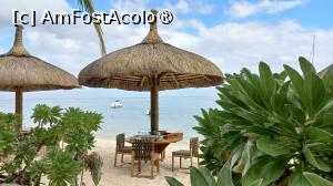 [P18] Dinarobin Beachcomber » foto by elenaadina
 - 
<span class="allrVoted glyphicon glyphicon-heart hidden" id="av1537400"></span>
<a class="m-l-10 hidden" id="sv1537400" onclick="voting_Foto_DelVot(,1537400,29403)" role="button">șterge vot <span class="glyphicon glyphicon-remove"></span></a>
<a id="v91537400" class=" c-red"  onclick="voting_Foto_SetVot(1537400)" role="button"><span class="glyphicon glyphicon-heart-empty"></span> <b>LIKE</b> = Votează poza</a> <img class="hidden"  id="f1537400W9" src="/imagini/loader.gif" border="0" /><span class="AjErrMes hidden" id="e1537400ErM"></span>