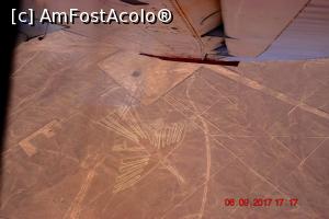 [P10] Condorul - alaturi de colibri, cele mai spectaculoase in opinia mea » foto by Pușcașu Marin
 - 
<span class="allrVoted glyphicon glyphicon-heart hidden" id="av916943"></span>
<a class="m-l-10 hidden" id="sv916943" onclick="voting_Foto_DelVot(,916943,29418)" role="button">șterge vot <span class="glyphicon glyphicon-remove"></span></a>
<a id="v9916943" class=" c-red"  onclick="voting_Foto_SetVot(916943)" role="button"><span class="glyphicon glyphicon-heart-empty"></span> <b>LIKE</b> = Votează poza</a> <img class="hidden"  id="f916943W9" src="/imagini/loader.gif" border="0" /><span class="AjErrMes hidden" id="e916943ErM"></span>