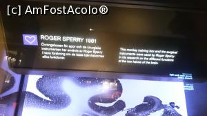 [P40] Text explicatil al precedentei imagini » foto by mecut
 - 
<span class="allrVoted glyphicon glyphicon-heart hidden" id="av826009"></span>
<a class="m-l-10 hidden" id="sv826009" onclick="voting_Foto_DelVot(,826009,29431)" role="button">șterge vot <span class="glyphicon glyphicon-remove"></span></a>
<a id="v9826009" class=" c-red"  onclick="voting_Foto_SetVot(826009)" role="button"><span class="glyphicon glyphicon-heart-empty"></span> <b>LIKE</b> = Votează poza</a> <img class="hidden"  id="f826009W9" src="/imagini/loader.gif" border="0" /><span class="AjErrMes hidden" id="e826009ErM"></span>