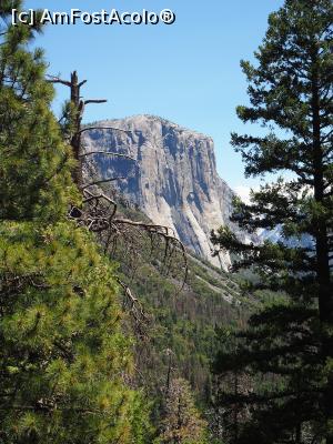[P03] El Capitan, un bloc absolut imens de granit » foto by DanCld
 - 
<span class="allrVoted glyphicon glyphicon-heart hidden" id="av988090"></span>
<a class="m-l-10 hidden" id="sv988090" onclick="voting_Foto_DelVot(,988090,29438)" role="button">șterge vot <span class="glyphicon glyphicon-remove"></span></a>
<a id="v9988090" class=" c-red"  onclick="voting_Foto_SetVot(988090)" role="button"><span class="glyphicon glyphicon-heart-empty"></span> <b>LIKE</b> = Votează poza</a> <img class="hidden"  id="f988090W9" src="/imagini/loader.gif" border="0" /><span class="AjErrMes hidden" id="e988090ErM"></span>