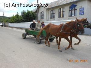 [P38] Muntenii de Sus - În fața școlii vechi.  » foto by iulianic
 - 
<span class="allrVoted glyphicon glyphicon-heart hidden" id="av751528"></span>
<a class="m-l-10 hidden" id="sv751528" onclick="voting_Foto_DelVot(,751528,29440)" role="button">șterge vot <span class="glyphicon glyphicon-remove"></span></a>
<a id="v9751528" class=" c-red"  onclick="voting_Foto_SetVot(751528)" role="button"><span class="glyphicon glyphicon-heart-empty"></span> <b>LIKE</b> = Votează poza</a> <img class="hidden"  id="f751528W9" src="/imagini/loader.gif" border="0" /><span class="AjErrMes hidden" id="e751528ErM"></span>