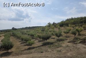 [P40] Mănăstirea Bogdănița » foto by adso
 - 
<span class="allrVoted glyphicon glyphicon-heart hidden" id="av1543353"></span>
<a class="m-l-10 hidden" id="sv1543353" onclick="voting_Foto_DelVot(,1543353,29444)" role="button">șterge vot <span class="glyphicon glyphicon-remove"></span></a>
<a id="v91543353" class=" c-red"  onclick="voting_Foto_SetVot(1543353)" role="button"><span class="glyphicon glyphicon-heart-empty"></span> <b>LIKE</b> = Votează poza</a> <img class="hidden"  id="f1543353W9" src="/imagini/loader.gif" border="0" /><span class="AjErrMes hidden" id="e1543353ErM"></span>
