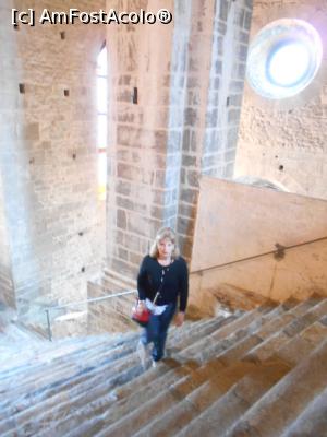 [P15] Sacra di San Michele (Piemont, Italia) - pe Scara Mortilor.  » foto by Diaura*
 - 
<span class="allrVoted glyphicon glyphicon-heart hidden" id="av1058010"></span>
<a class="m-l-10 hidden" id="sv1058010" onclick="voting_Foto_DelVot(,1058010,29447)" role="button">șterge vot <span class="glyphicon glyphicon-remove"></span></a>
<a id="v91058010" class=" c-red"  onclick="voting_Foto_SetVot(1058010)" role="button"><span class="glyphicon glyphicon-heart-empty"></span> <b>LIKE</b> = Votează poza</a> <img class="hidden"  id="f1058010W9" src="/imagini/loader.gif" border="0" /><span class="AjErrMes hidden" id="e1058010ErM"></span>