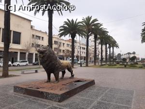 [P01] Av. Hassan II » foto by adso
 - 
<span class="allrVoted glyphicon glyphicon-heart hidden" id="av1546299"></span>
<a class="m-l-10 hidden" id="sv1546299" onclick="voting_Foto_DelVot(,1546299,29458)" role="button">șterge vot <span class="glyphicon glyphicon-remove"></span></a>
<a id="v91546299" class=" c-red"  onclick="voting_Foto_SetVot(1546299)" role="button"><span class="glyphicon glyphicon-heart-empty"></span> <b>LIKE</b> = Votează poza</a> <img class="hidden"  id="f1546299W9" src="/imagini/loader.gif" border="0" /><span class="AjErrMes hidden" id="e1546299ErM"></span>
