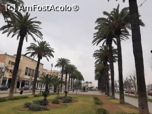 [P02] Av. Hassan II » foto by adso
 - 
<span class="allrVoted glyphicon glyphicon-heart hidden" id="av1546300"></span>
<a class="m-l-10 hidden" id="sv1546300" onclick="voting_Foto_DelVot(,1546300,29458)" role="button">șterge vot <span class="glyphicon glyphicon-remove"></span></a>
<a id="v91546300" class=" c-red"  onclick="voting_Foto_SetVot(1546300)" role="button"><span class="glyphicon glyphicon-heart-empty"></span> <b>LIKE</b> = Votează poza</a> <img class="hidden"  id="f1546300W9" src="/imagini/loader.gif" border="0" /><span class="AjErrMes hidden" id="e1546300ErM"></span>