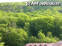 fotografii din vacanta la Pensiunea Alfrid [Căciulata]