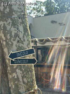 fotografii din vacanta la Blues House